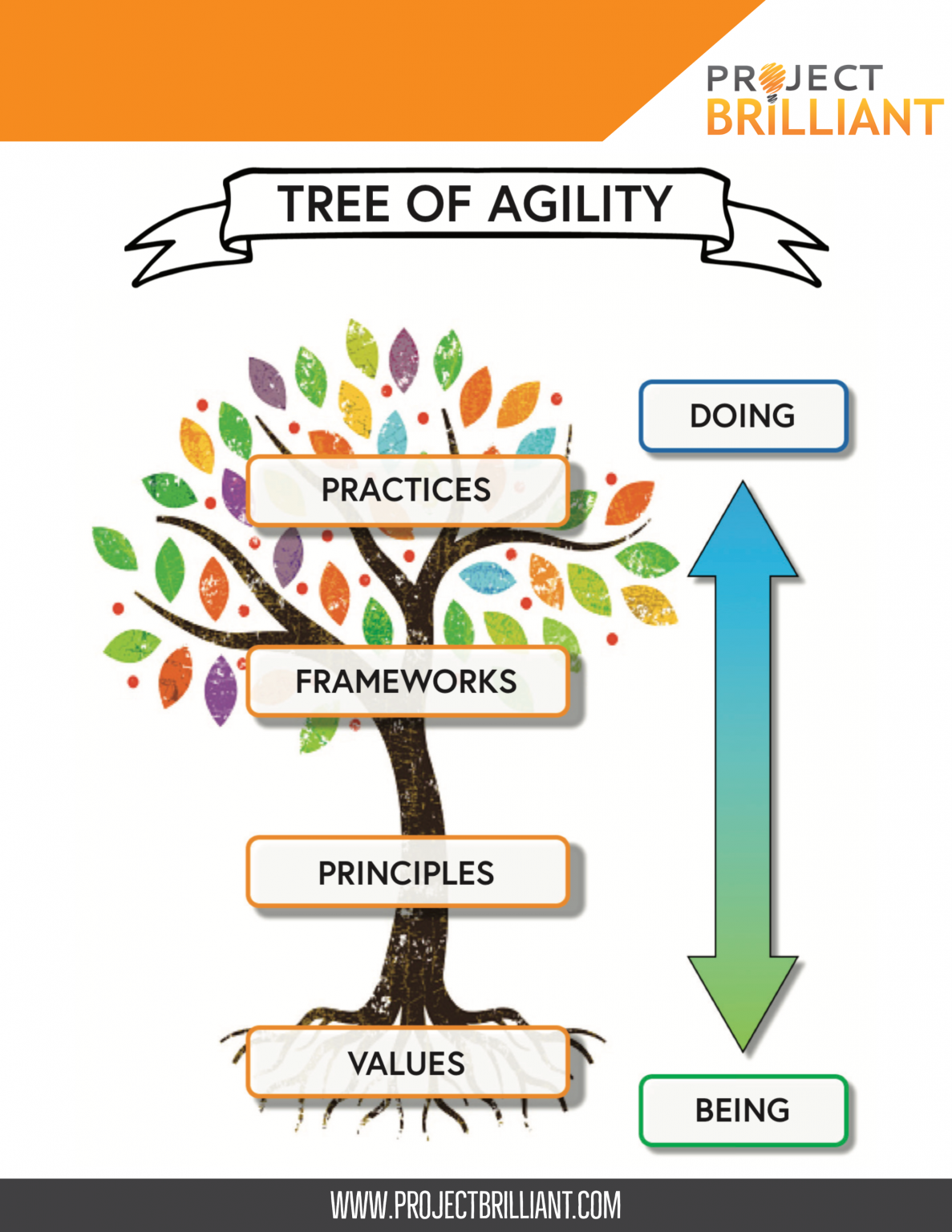 tree-of-agility-1-1187x1536
